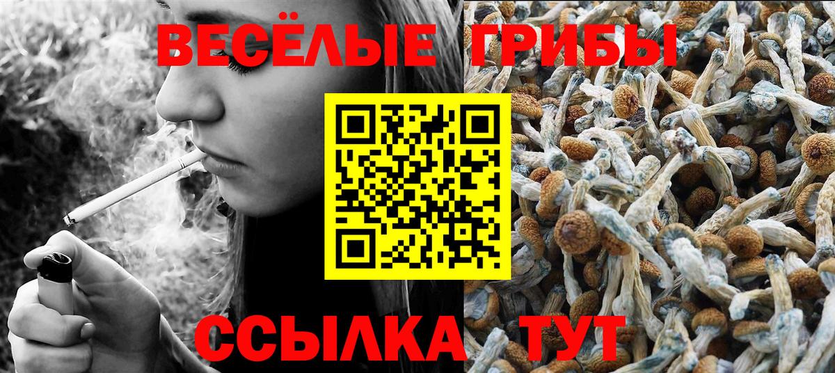 Галлюциногенные грибы прущие грибы Трёхгорный